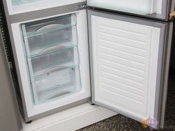 冰爽一下 夏季强势冷动力冰箱一览